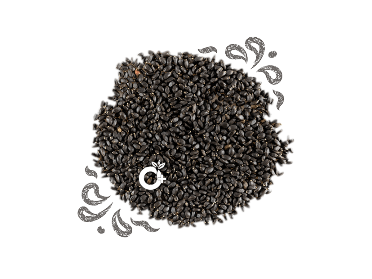 Basil Seeds Sabja Seeds Organic Positive