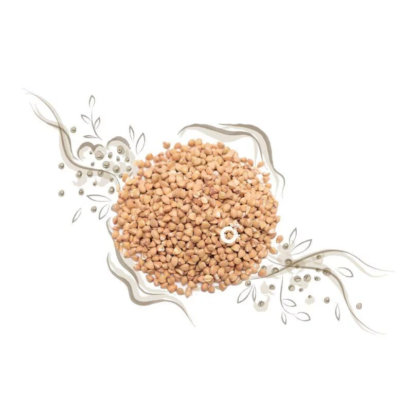 Buckwheat/மரக்கோதுமை – 250gm