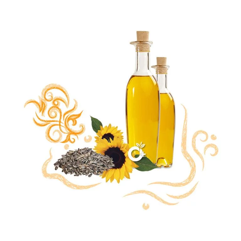 Cold Pressed Sunflower Oil : 100% Pure and Natural