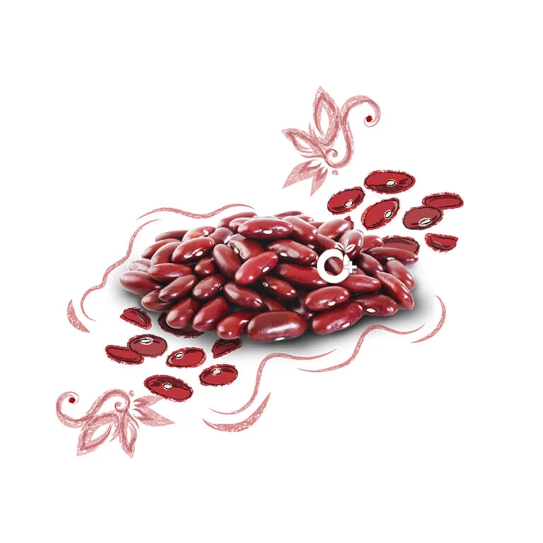 Rajma Red | Kidney Bean Red | ராஜ்மா சிவப்பு | 250g