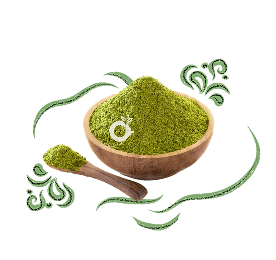 Moringa Leaf Powder/ முருங்கை பொடி