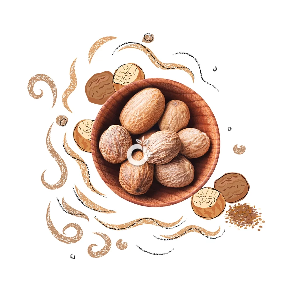 Nutmeg/ ஜாதிக்காய் – 10gm