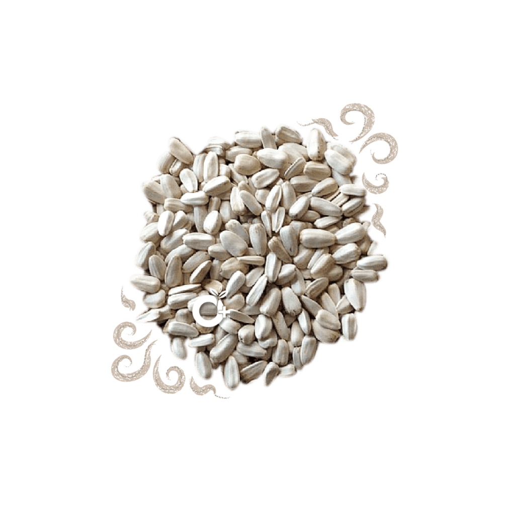 Sunflower Seeds White Organic Positive