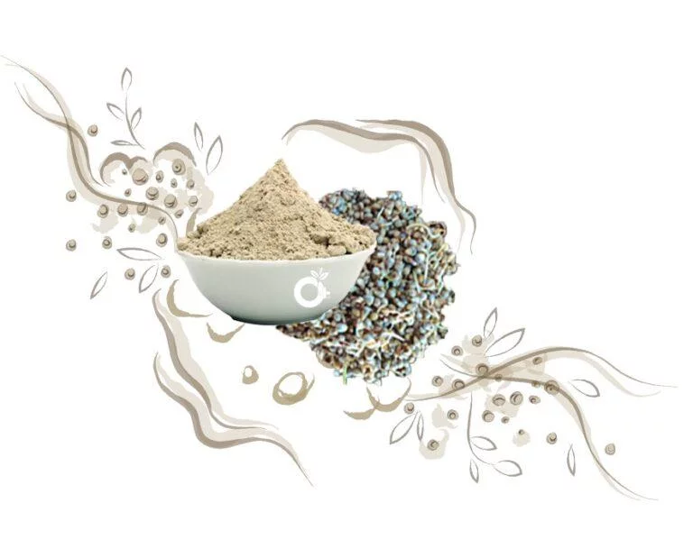 Sprouted Bajra Flour