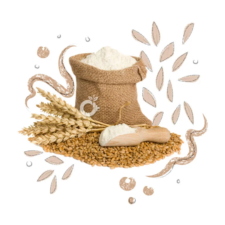 Wheat Flour/ கோதுமை மாவு – 500gm