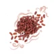 rajma-jammu-kidneybean-jammu-kashmirirajma-organic-organicshopinchennai