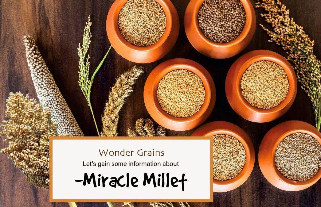 Positive Millets | Positive Grains | Positive Millets List