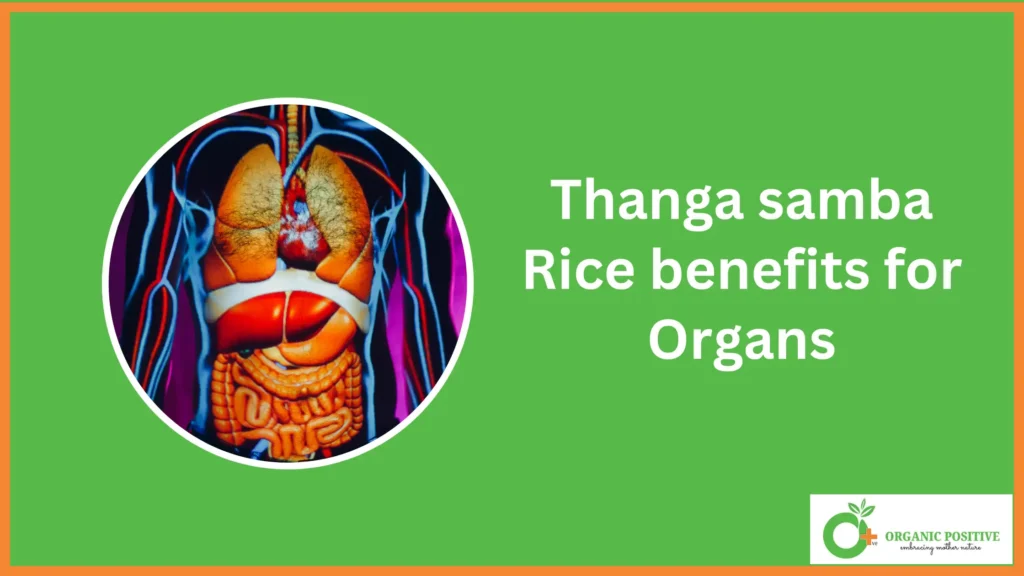 Thanga samba Rice benefits for Organs