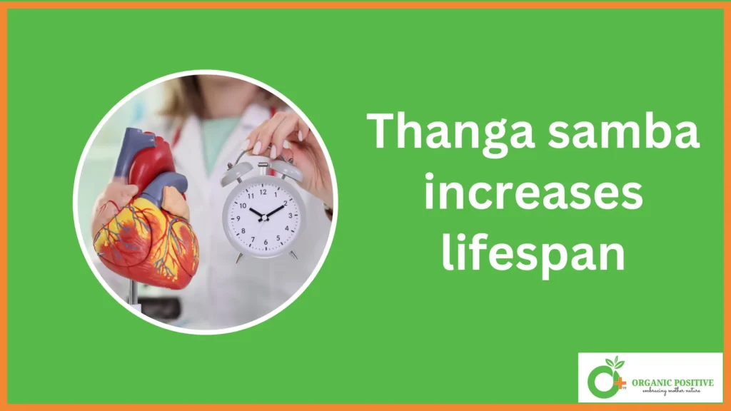 Thanga samba Rice increases lifespan