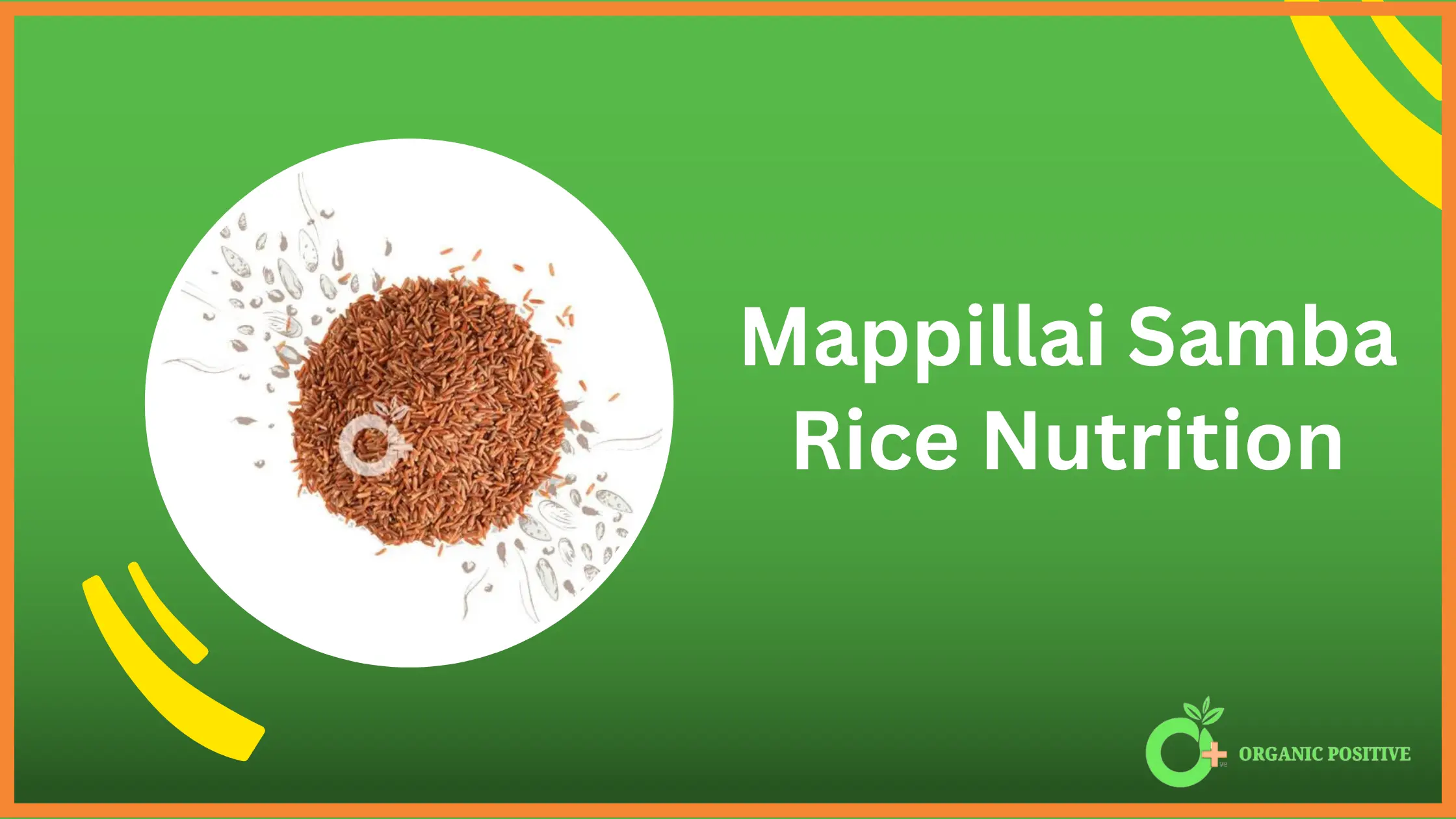 Mappillai Samba Rice Nutrition
