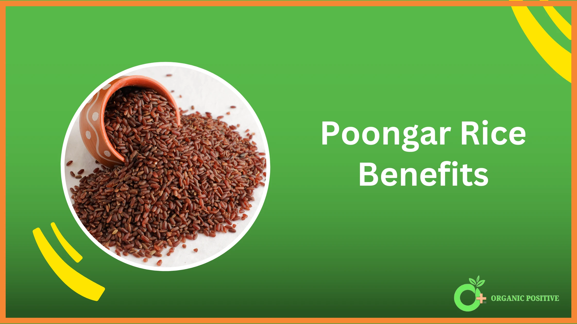 Top 10 Poongar Rice Benefits in 2024