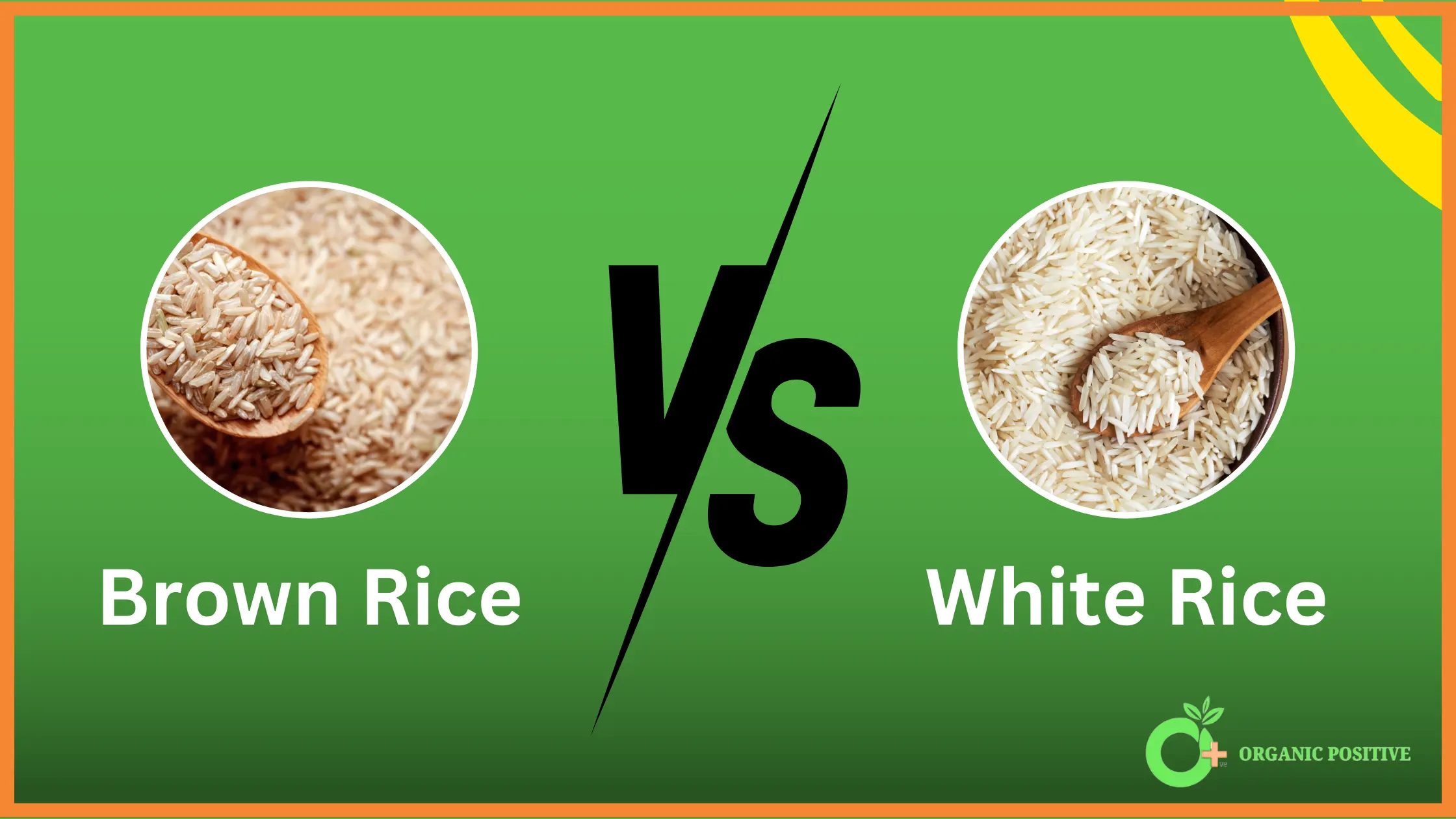 Brown Rice vs White Rice – Know the Difference [2024]