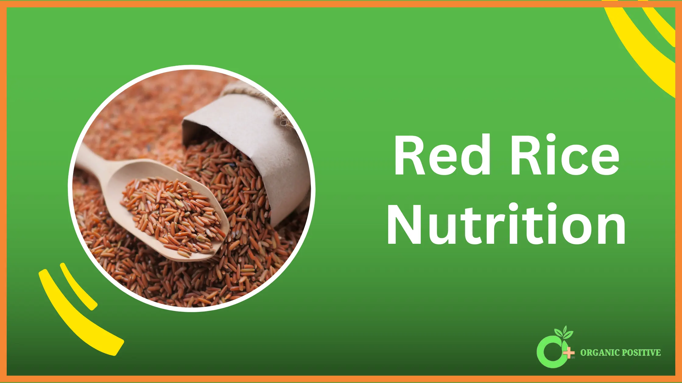 Red Rice Nutrition Value Table [Calories, Fats & More]