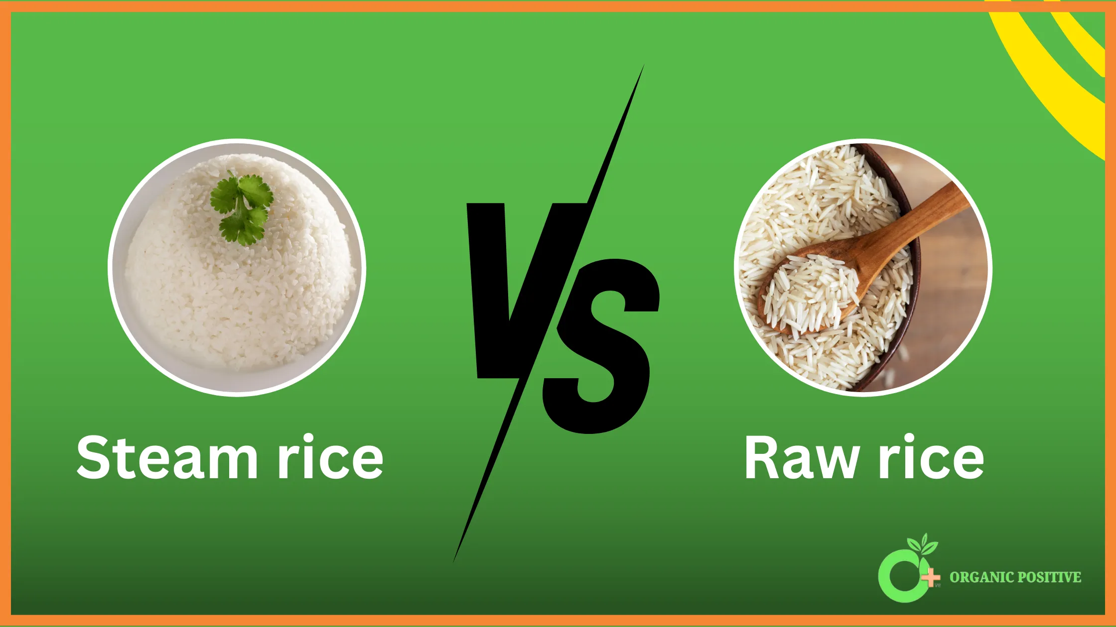 Steam rice vs Raw rice – Know the Difference [2024]