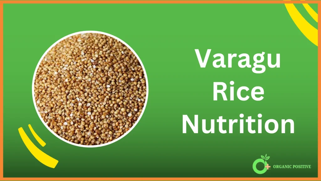 Varagu Rice Nutrition