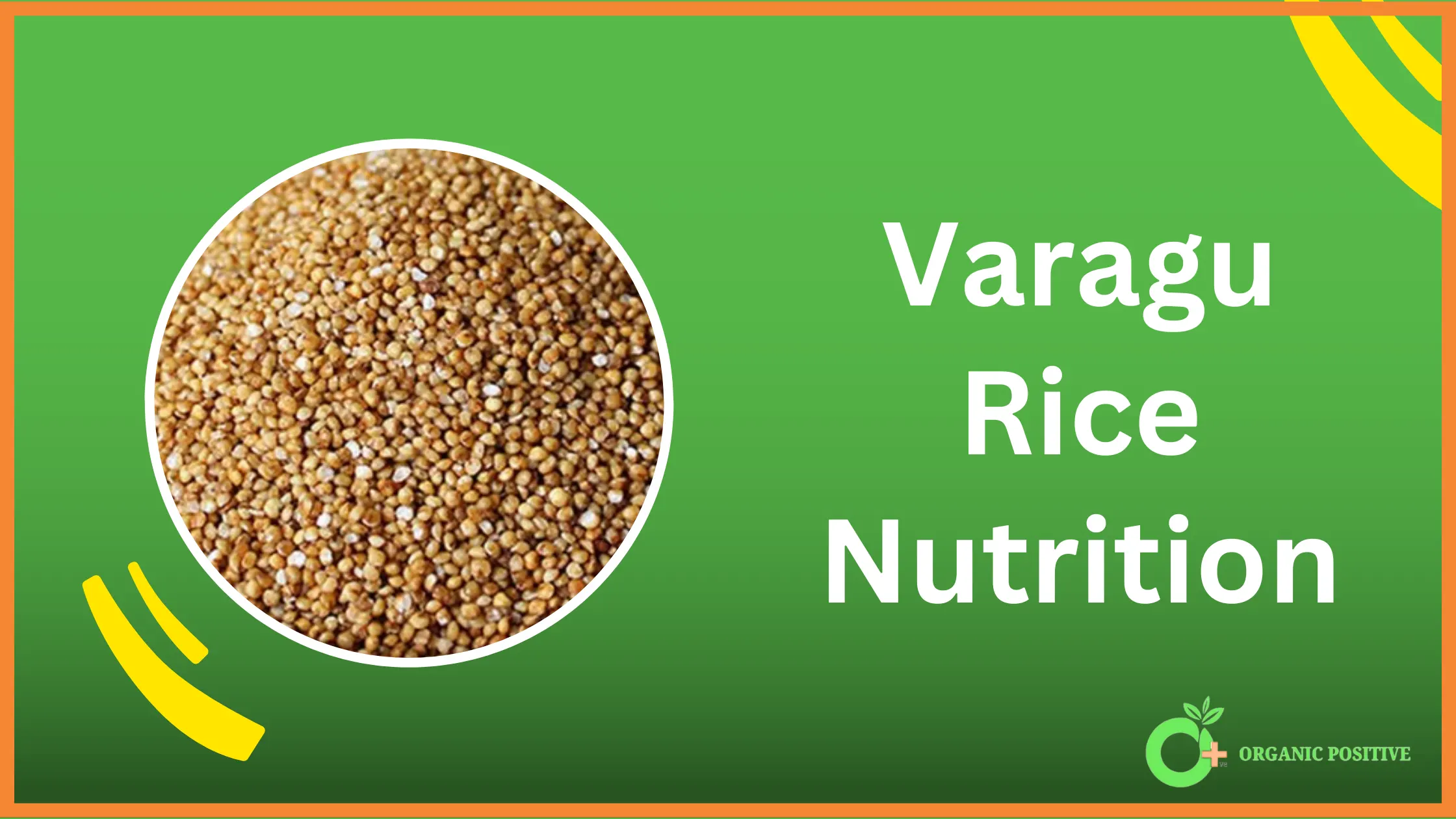 Varagu Rice Nutrition Value Table [Calories, Fats & More]
