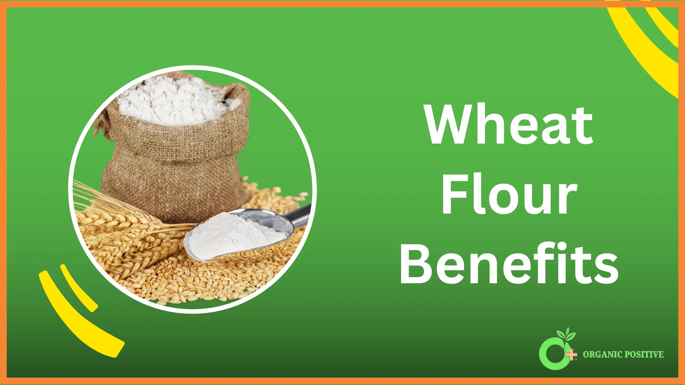 Wheat Flour Benefits for Your Health [2024]
