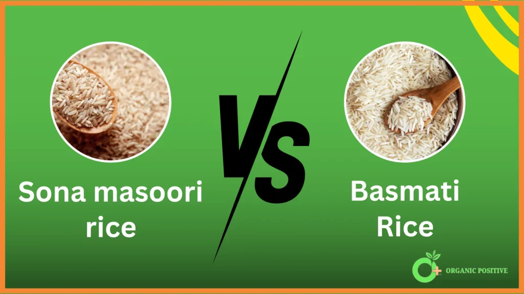 Sona masoori rice vs Basmati rice