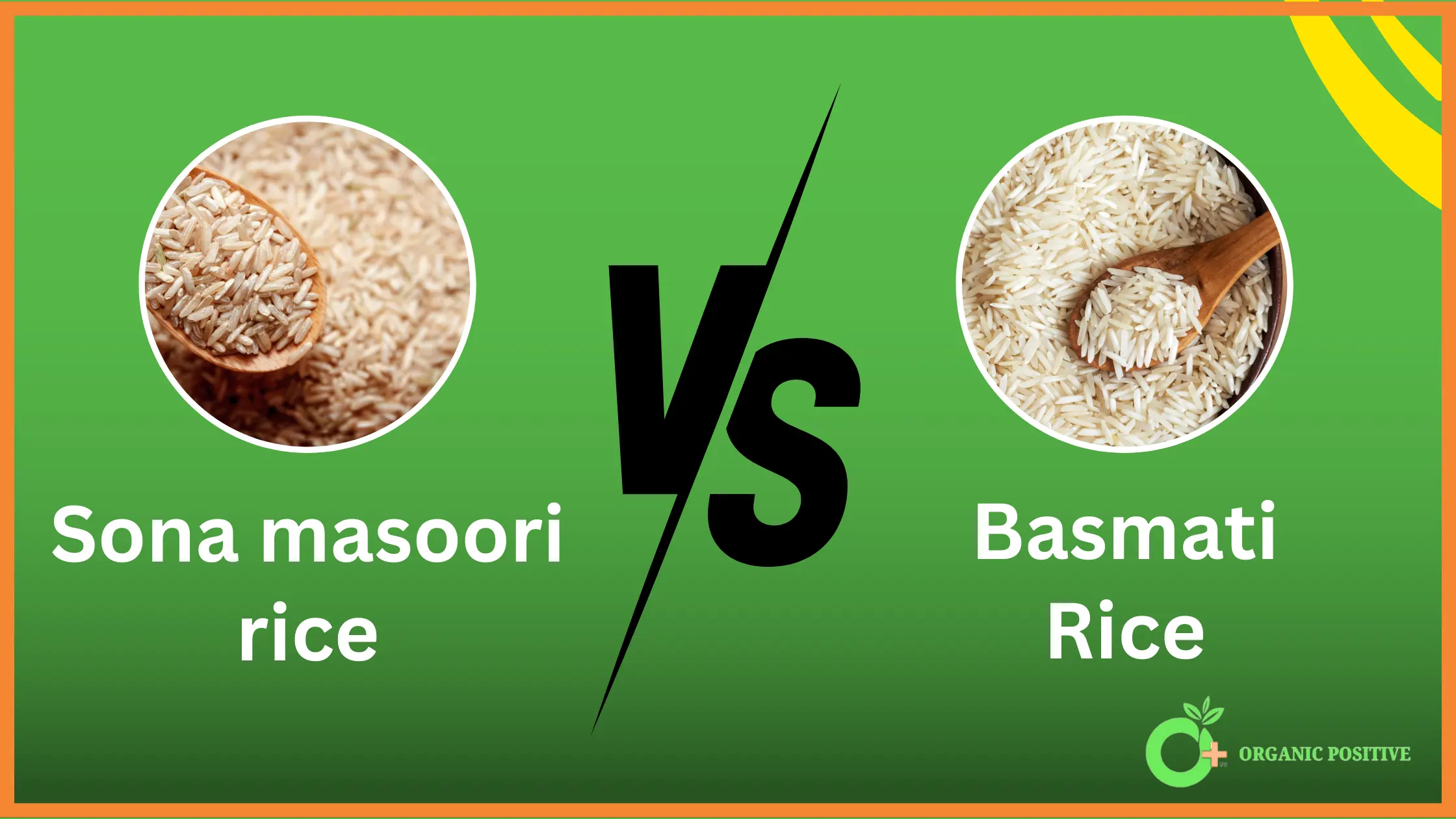 Sona masoori rice vs Basmati rice – Know the Difference [2024]