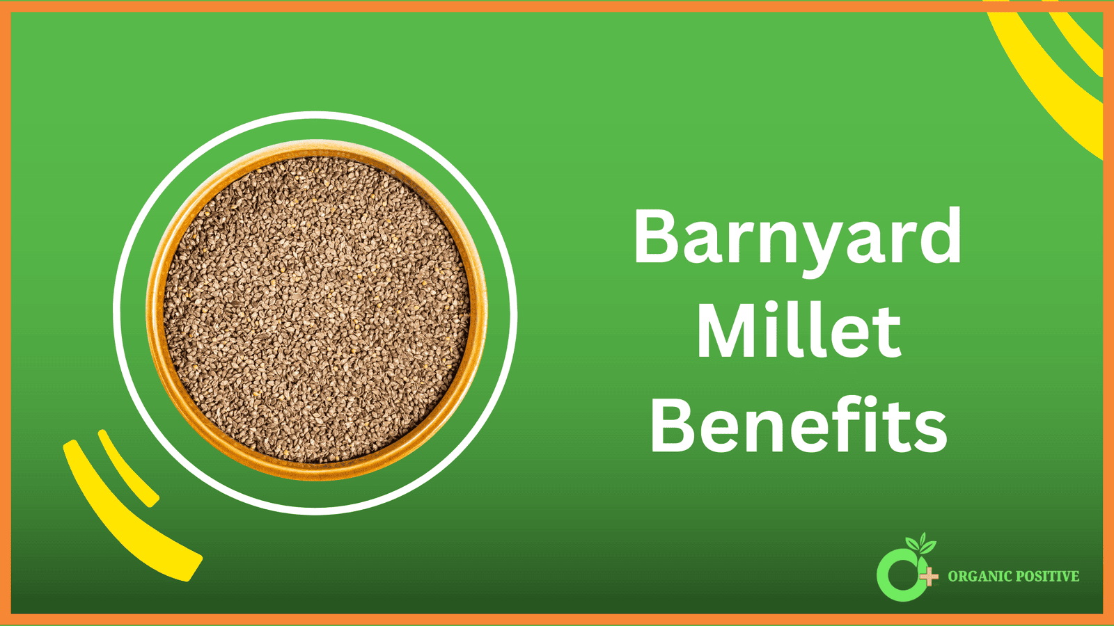 Barnyard Millet Benefits