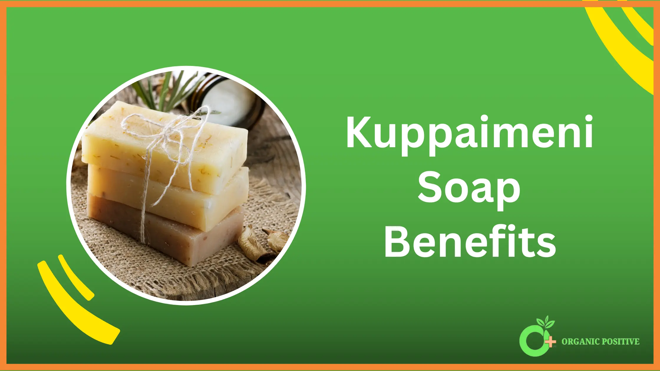 Kuppaimeni Soap Benefits